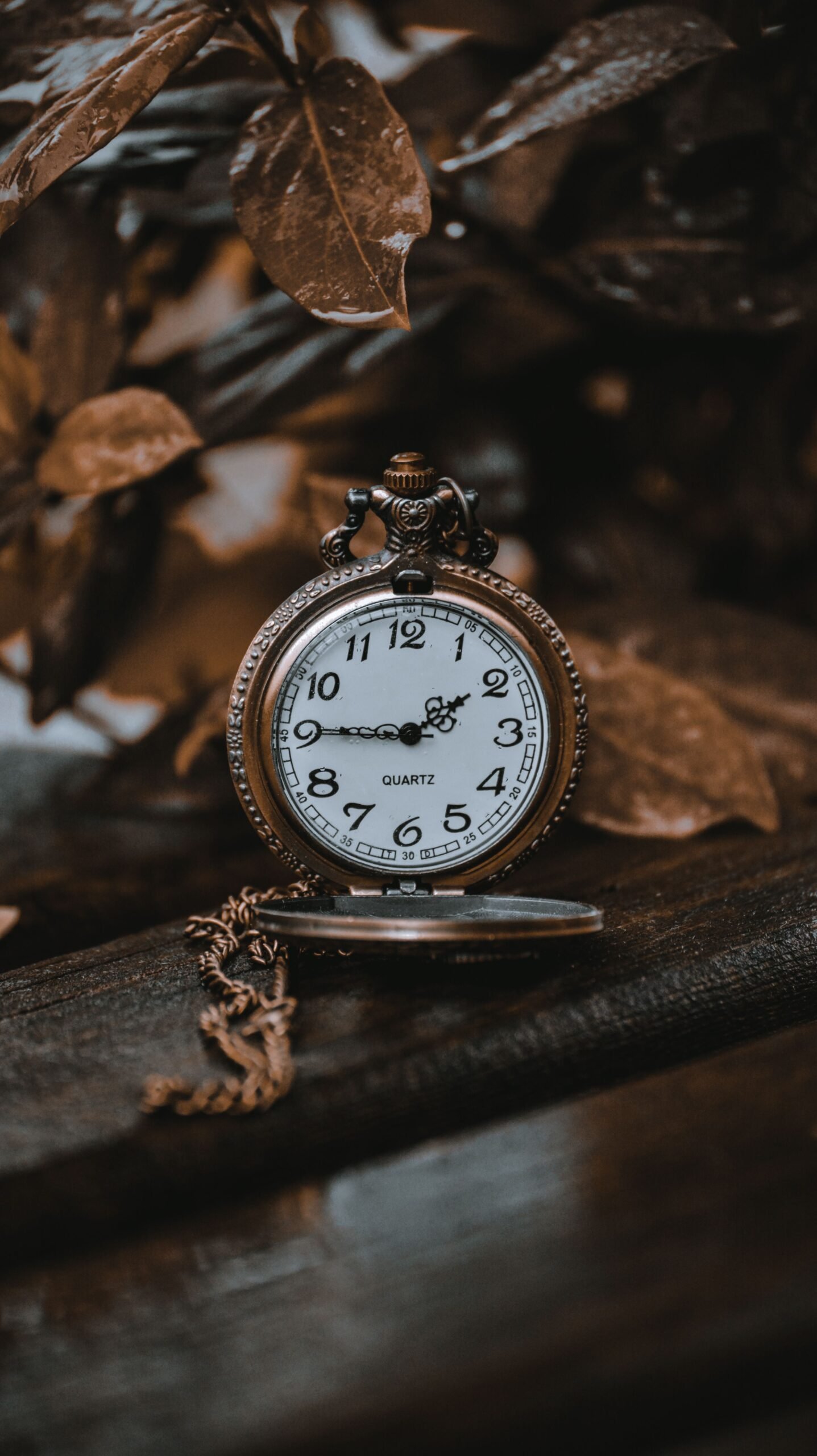 pexels-mustafaphotogrphy-7849709